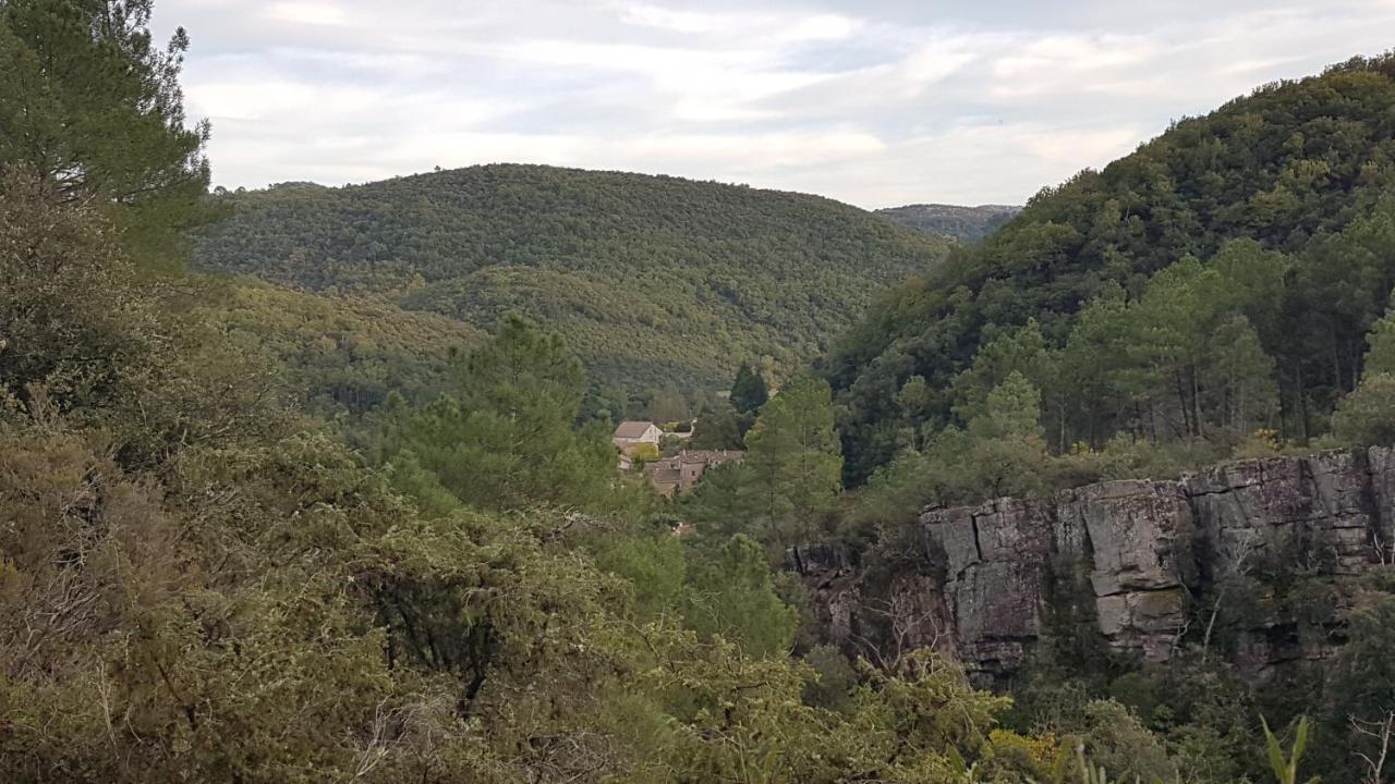 Le Clos du Cèdre Saint Sebastien d'Aigrefeuille Extérieur photo