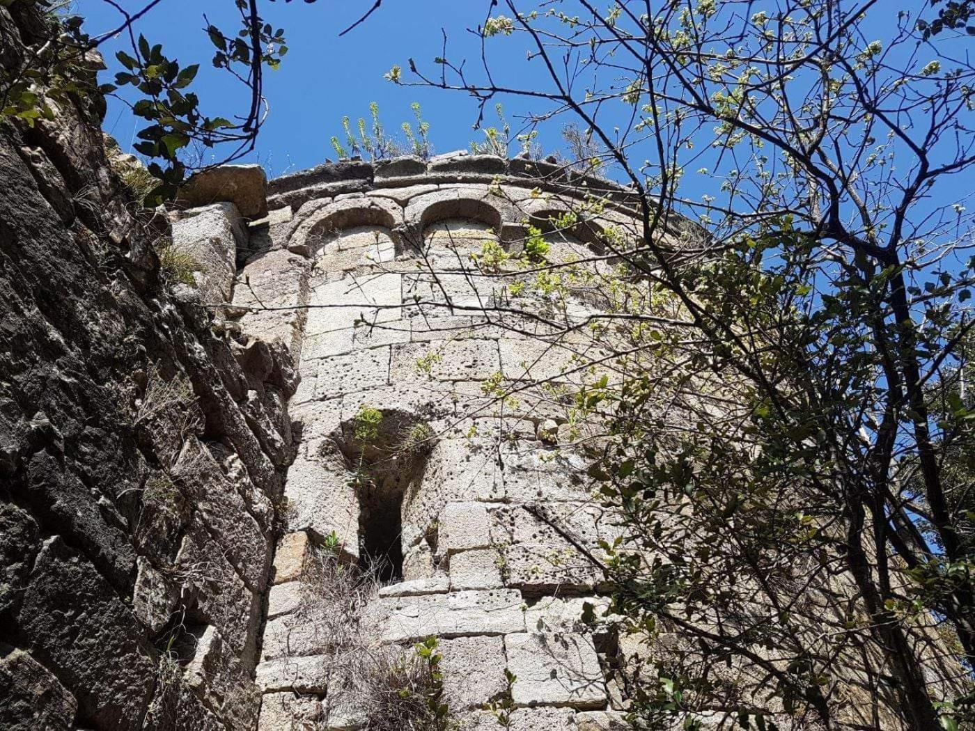 Le Clos du Cèdre Saint Sebastien d'Aigrefeuille Extérieur photo